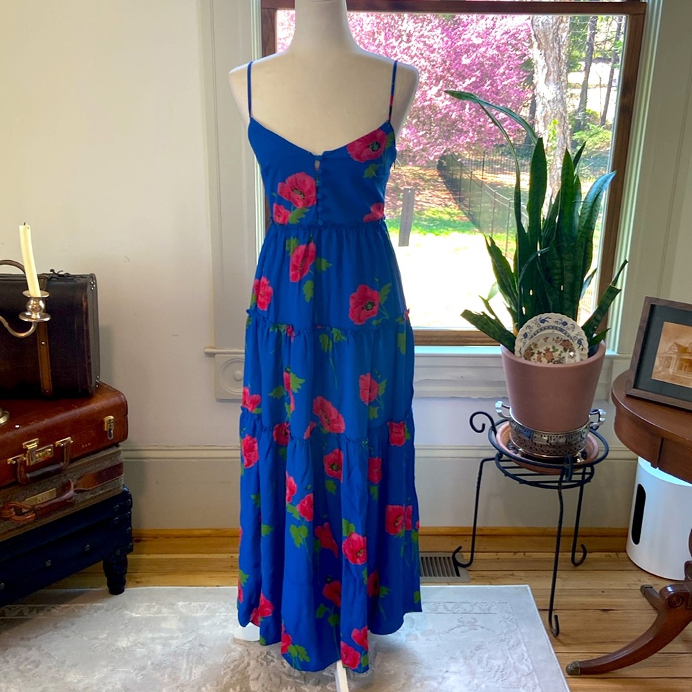 NWT beautiful Flynn Skye blue floral maxi dress size XS - Picture 4 of 9